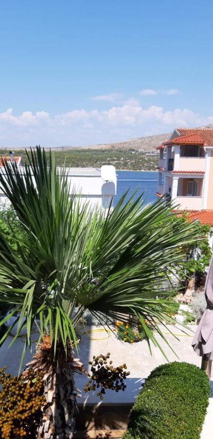 Sparadici Grebastica Bagian luar foto
